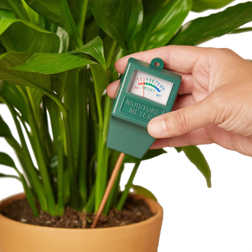 Moisture Meter – view 3