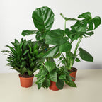 Best Selling Bundle – view 3