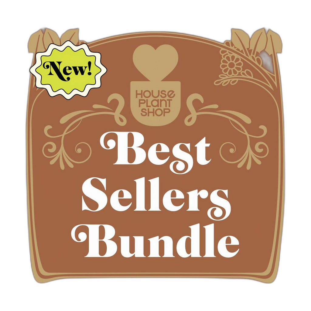Best Selling Bundle