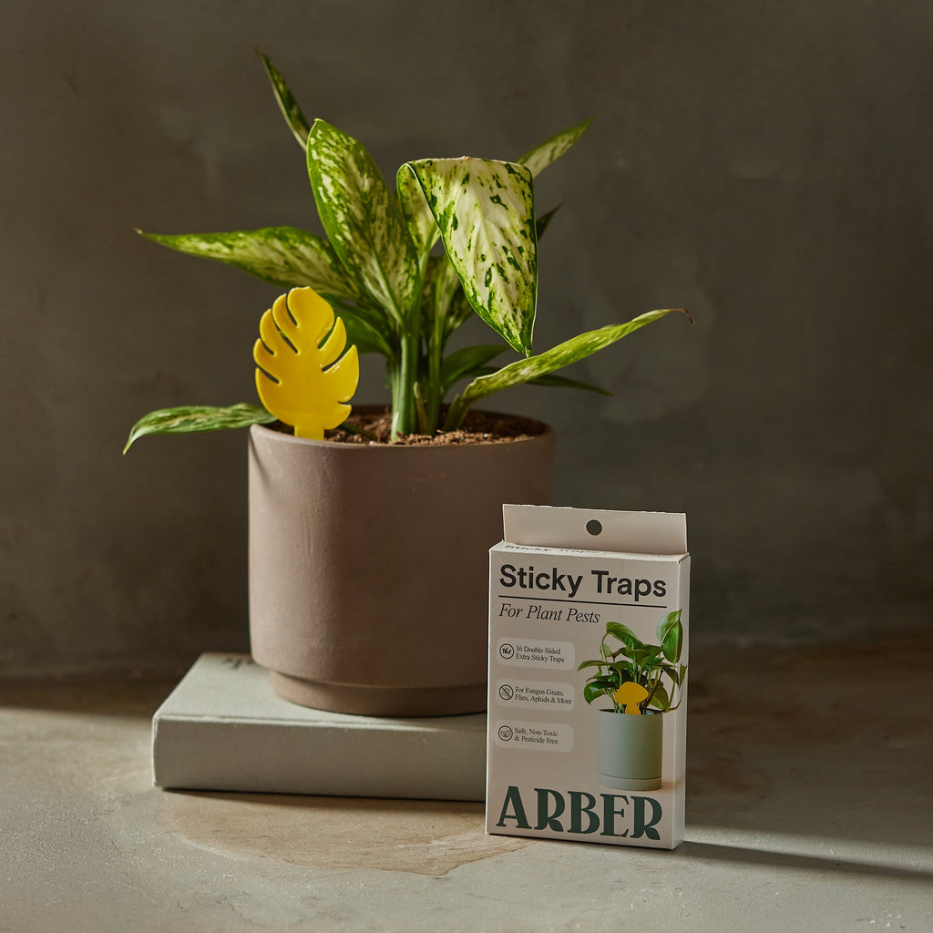 Sticky Traps for Plant Pests – view 4
