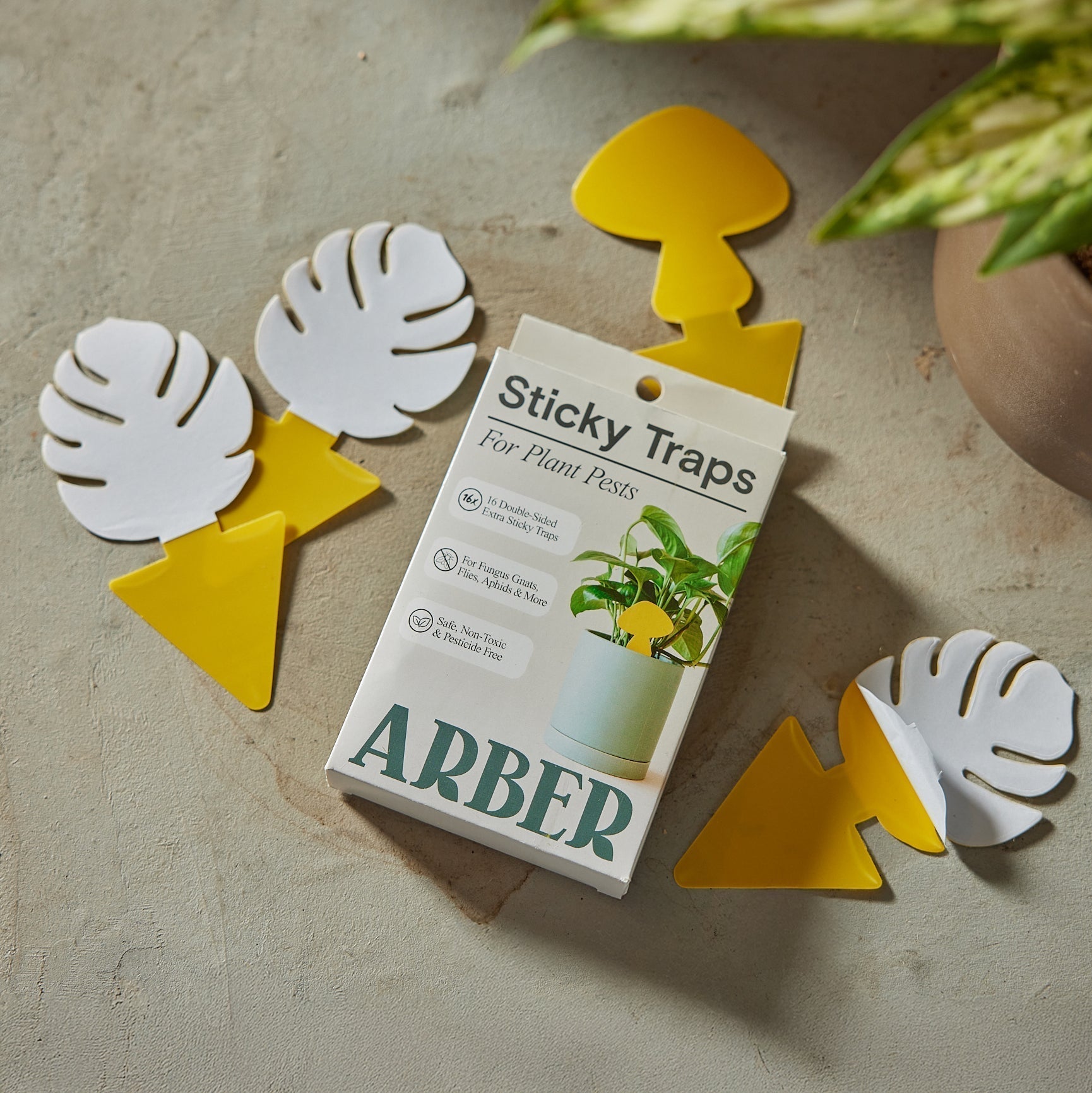 Sticky Traps for Plant Pests – view 3