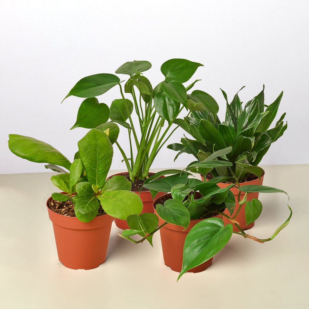 Best Selling Bundle – view 2