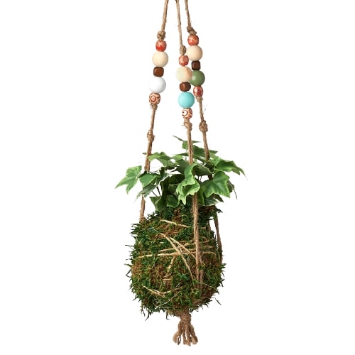 Bead Kokedama Moss Ball Hanging Plant – view 7