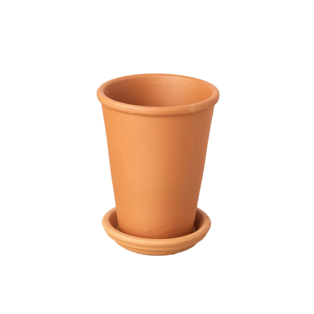 New Plant Parent Bundle – view 2