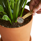 Pellet Fertilizer/Indoor House Plant Food - Small – view 3