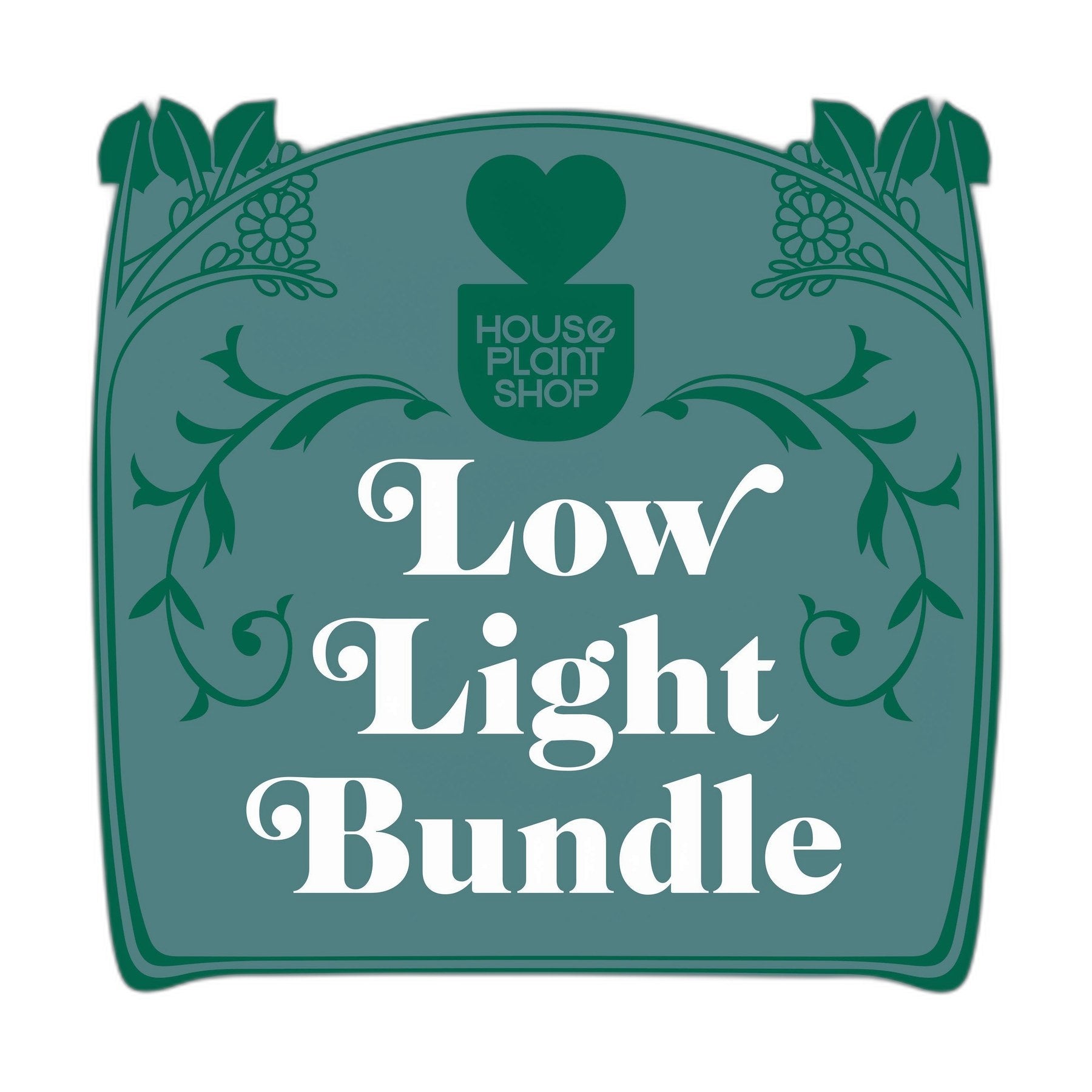 Low Light Bundle