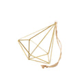 Air Plant Display Hanger - Brass by House Plant Dropship