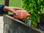 Plant Food - Arber